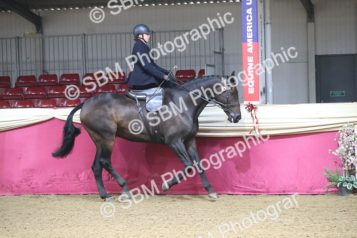 SBM_10373 - Class 102 Equitation (best rider) Adult