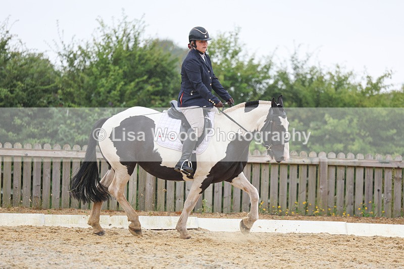 3E7A8317 - Class 2: Intro 3 2024 section B