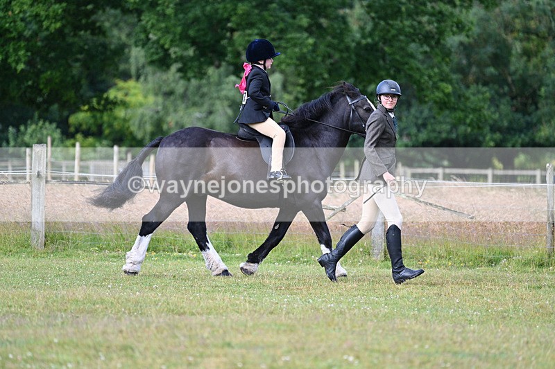 WJ7_4385 - Class 1 Lead Rein Pony