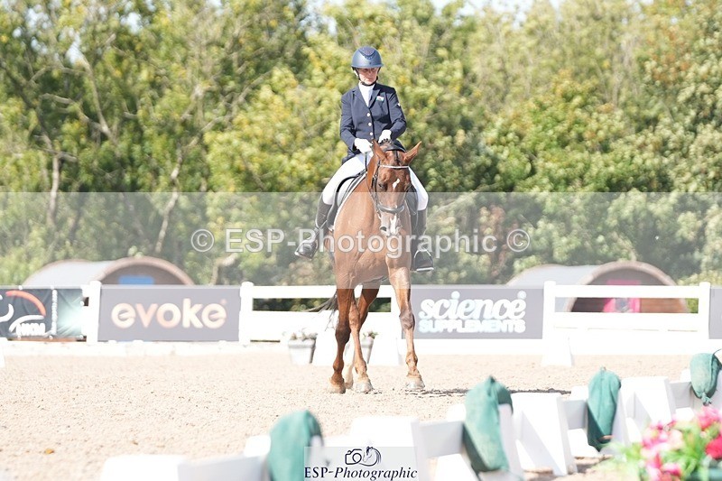 250906-150846-04669 - 108-Susan.JonesWoodlander.Summer.Breeze