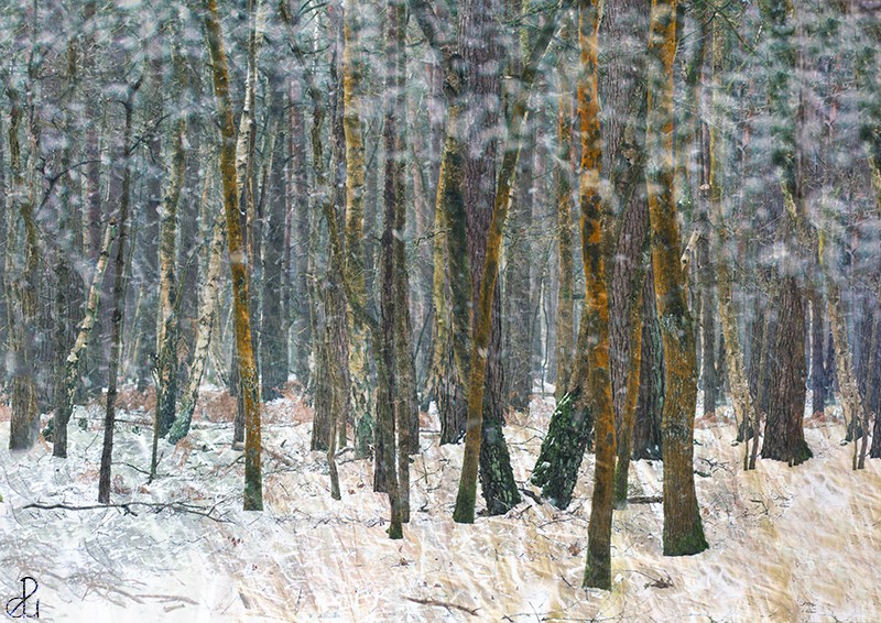 Creative landscape photography by Diana Uzun