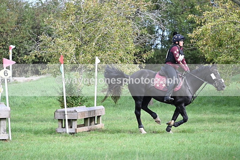 WJ7_8307 - 60cm Pairs