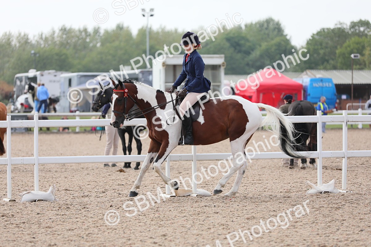 SBM_13455 - Class 308 Ridden Coloured Horse