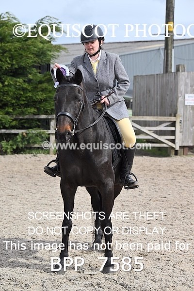 BPP_7585 - RING 1  (RIDDEN HORSES / IN HAND / VETERAN ETC)