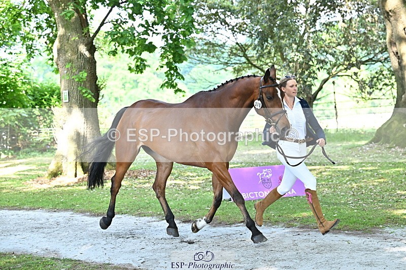 250521A-155454-00836 - B-378-Molly.Brown-KILRUSH.RED