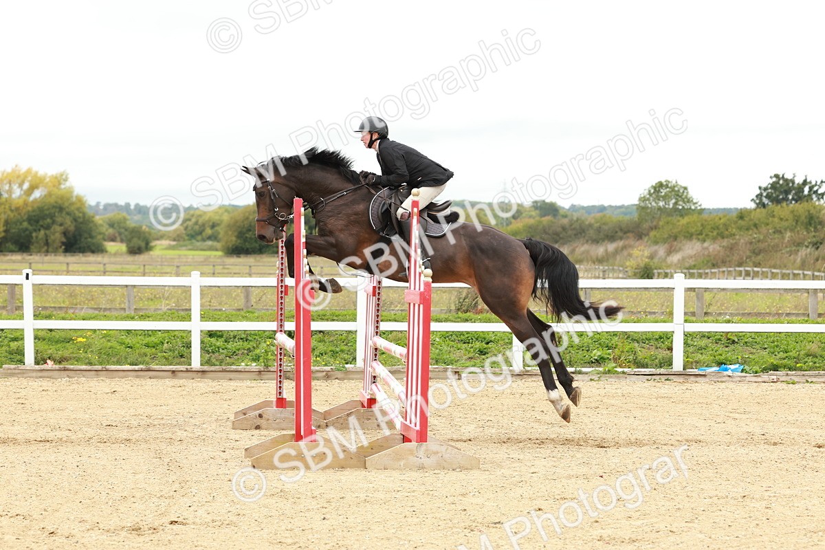 1I0A6919 - Class 2 - Senior British Novice