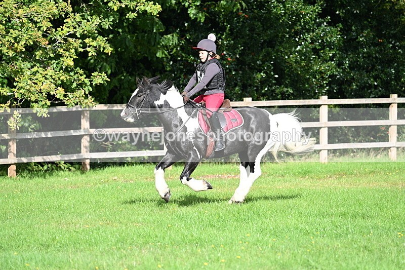 WJ7_3743 - 40cm Time 10:26 to 10:42