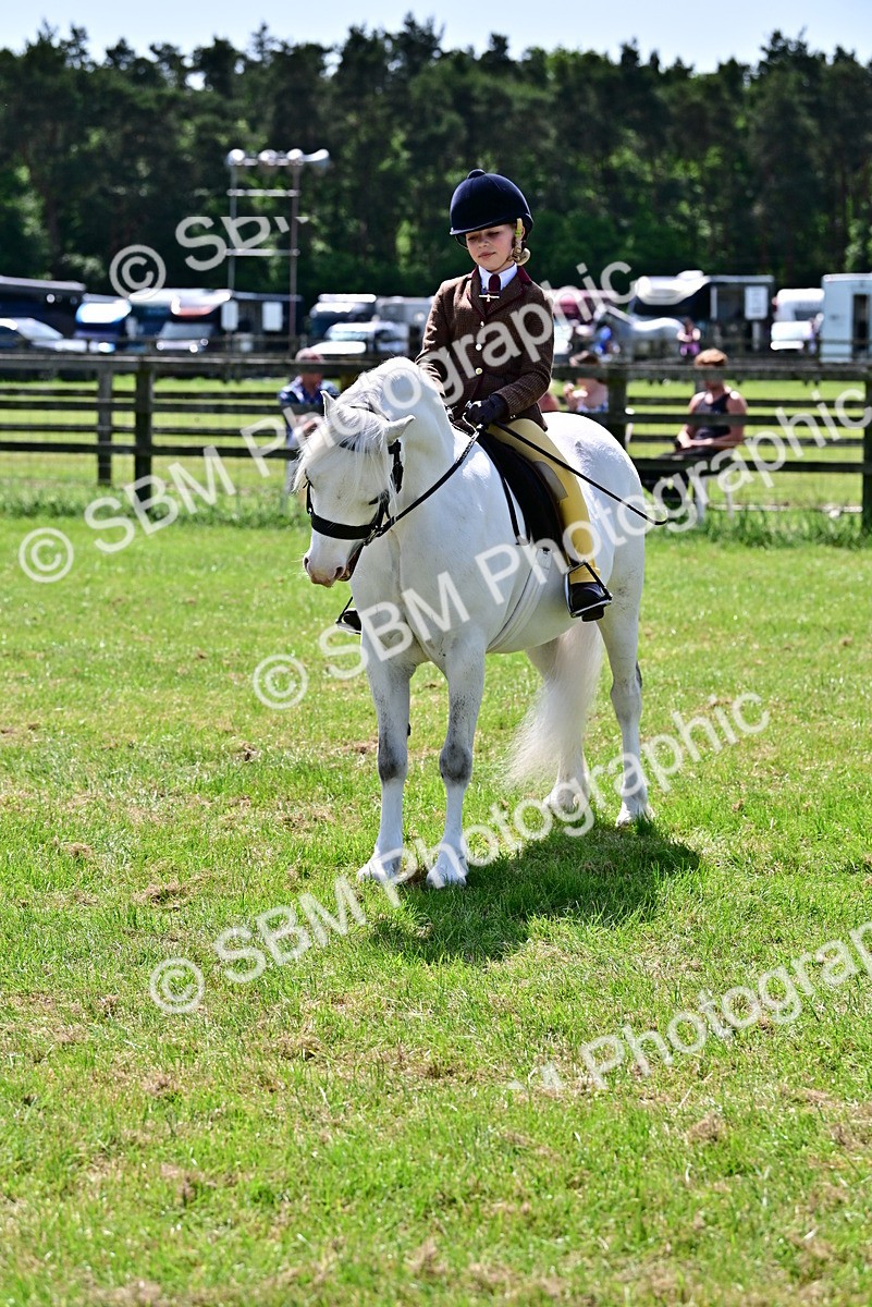 SBM_06118 - Class 59-60 - TSR M&M  Lear Rein and First Ridden Amateur of the year
