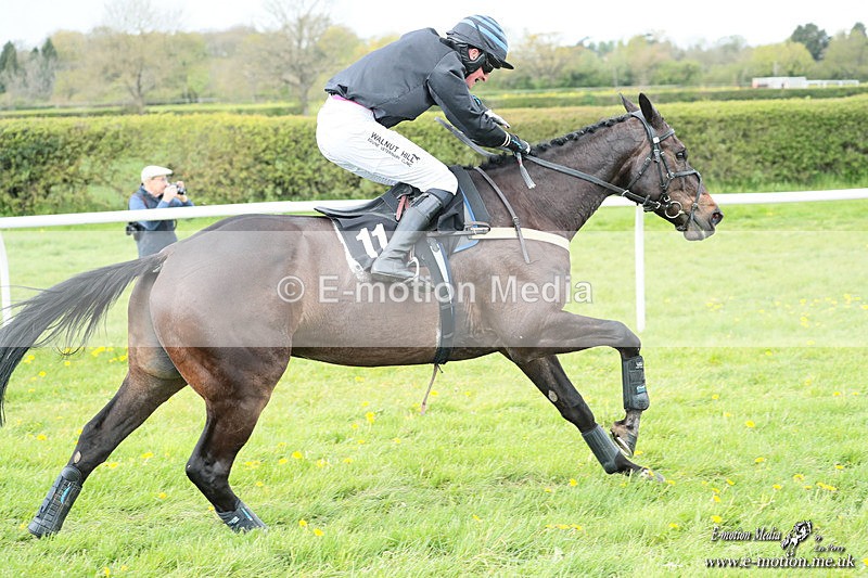 PtP 180426 582 - Worcestershire Hunt PtP Chaddesley Corbett 18/04/26