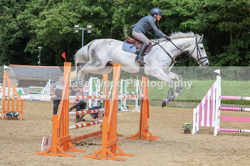 3E7A7571 - Class 9: Senior Foxhunter/1.20 open