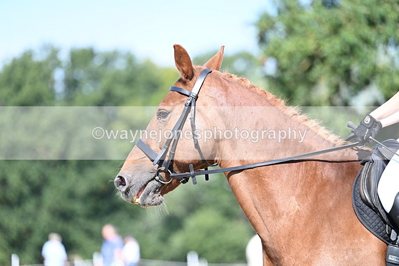 WJ7_9980 - Time 11:03 to 11:28