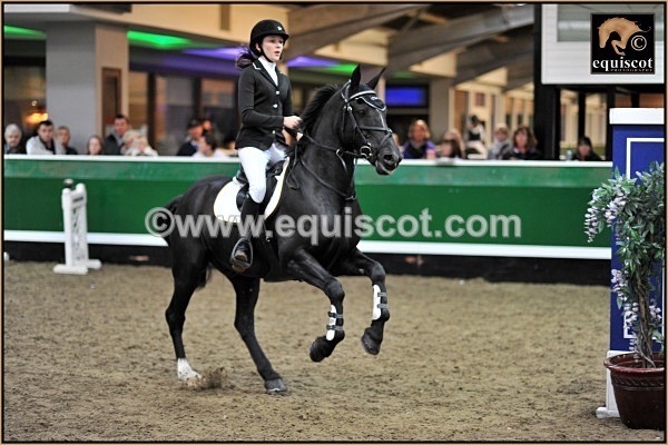 equiscot 8349 AILSA BLACK - PADDIOCO - 2012 PRIZEWINNERS INDIVIDUAL PICS