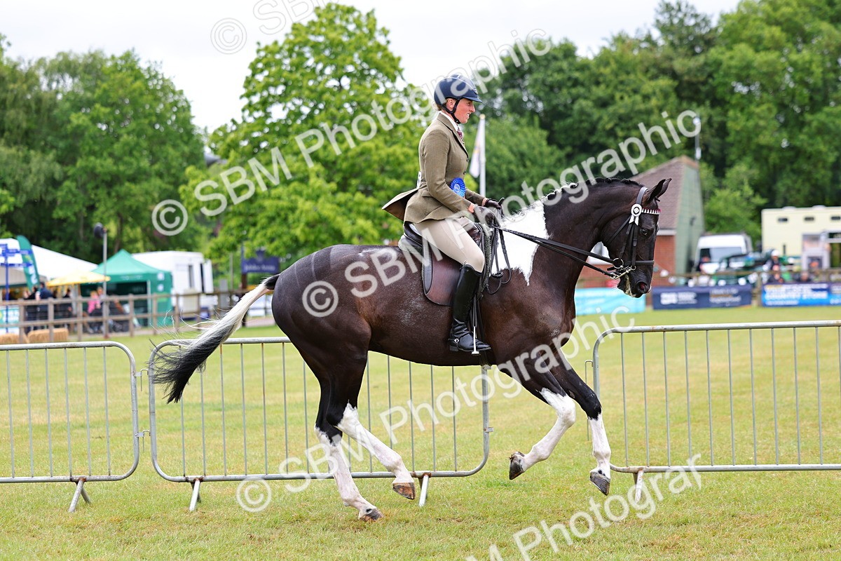 SBM_02620 - Class 9-11 Side Saddle including LIHS Rising Star Ladies Show Horse