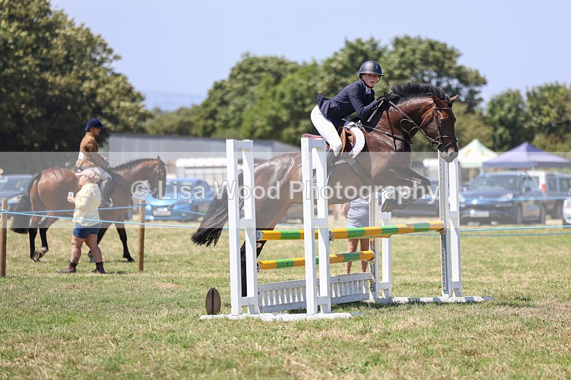 3E7A4461 - Class 10: Senior British Novice/90cm open