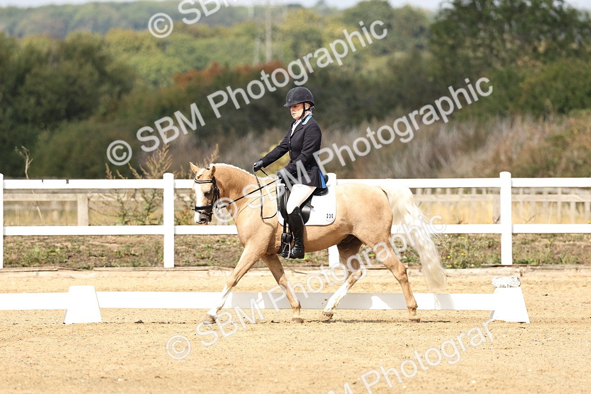 SBM_018205 - Class 16 - Novice 5 - 11.12-12.01