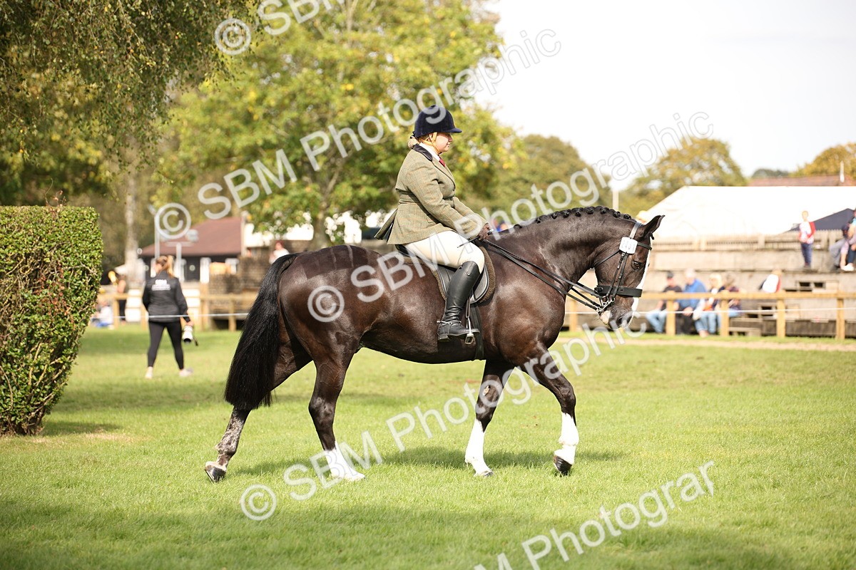 SBM_70349 - S66 - Hunter Ridden