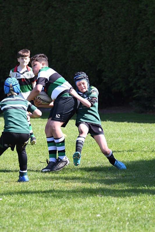  - Selby Rugby Festival 2025