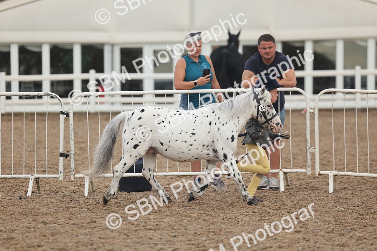 SBM_08436 - Class 29 - IH Veteran Pony