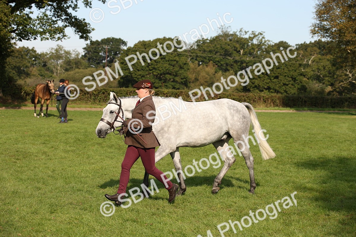 SBM_60099 - S53 - Hunter In Hand