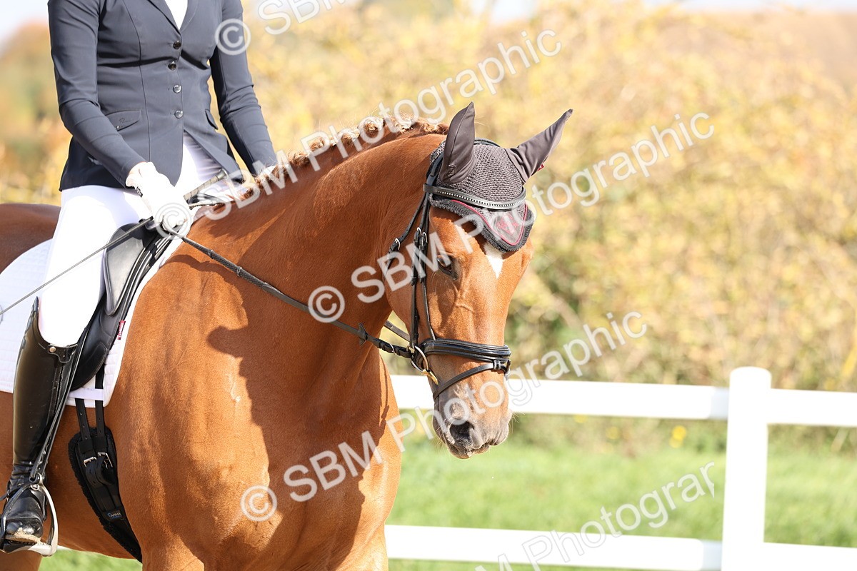 SBM_001333 - Class 3 - Novice 4