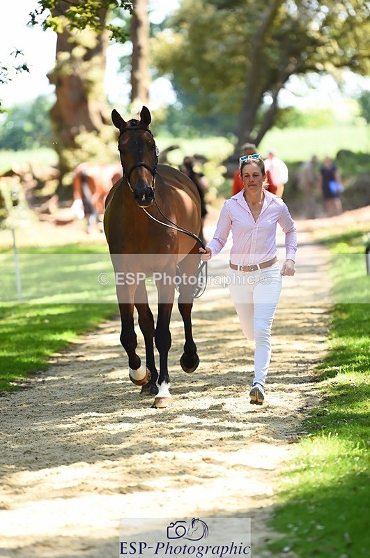 230524-150356-00040 - 305-BARRINGTON_57-Izzy_Taylor-WEDTrotUp+DR