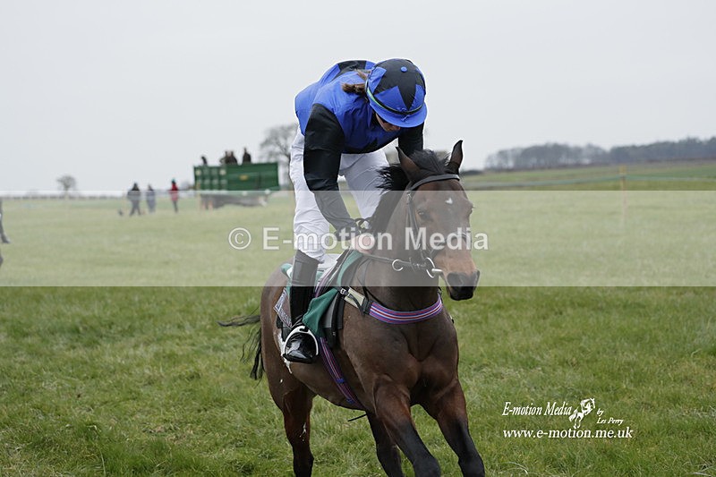 PtP 040323 19 - Duke of Beauforts Hunt Point-to-Point Didmarton 04/03/23