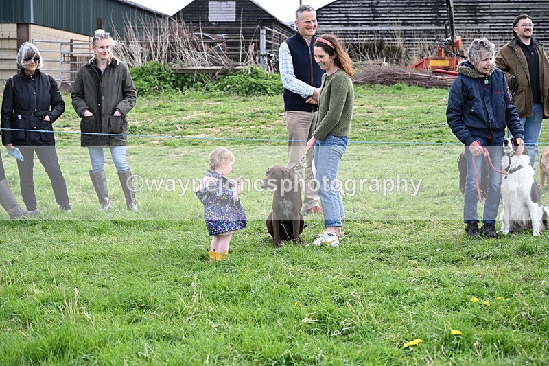 WJ6_8565 - Class 6 Best Rescue