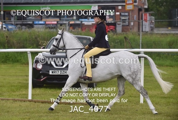 JAC_4077 - 40CM WORKING HUNTER