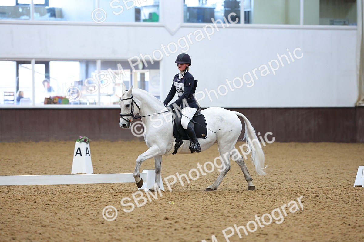 SBM_004173 - Intermediate