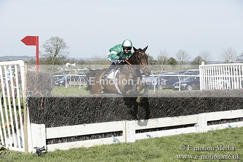 PtP 260317 290 - Mendip Farmers Point-to-Point Ston Easton 26/03/17