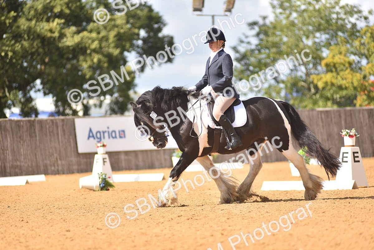 SBM_22492 - D13 - Grand Tour Championship Prelim 3