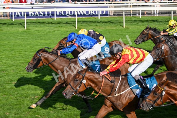 220825-Race 7-Fifth Column-7866 - Race 7 5.20pm Sky Bet Mile Handicap