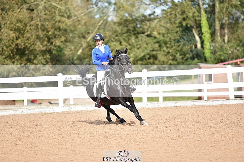 231015A-131514-08265 - Cls 25 95cm Amateur Q 2nd R