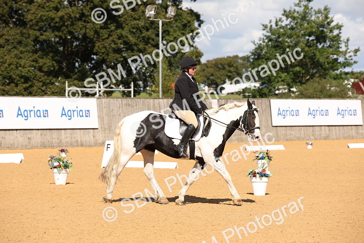 SBM_04333 - D2 Small Tour Championship Intro C