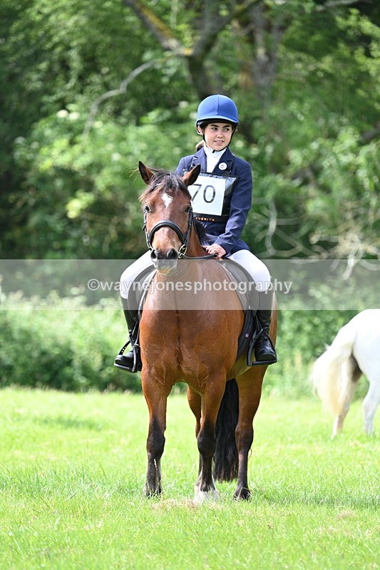 WJ7_1378 - Class 11 Condition & Turnout