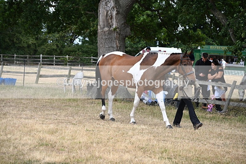 WJ6_8139 - Class 10 Coloured in Hand
