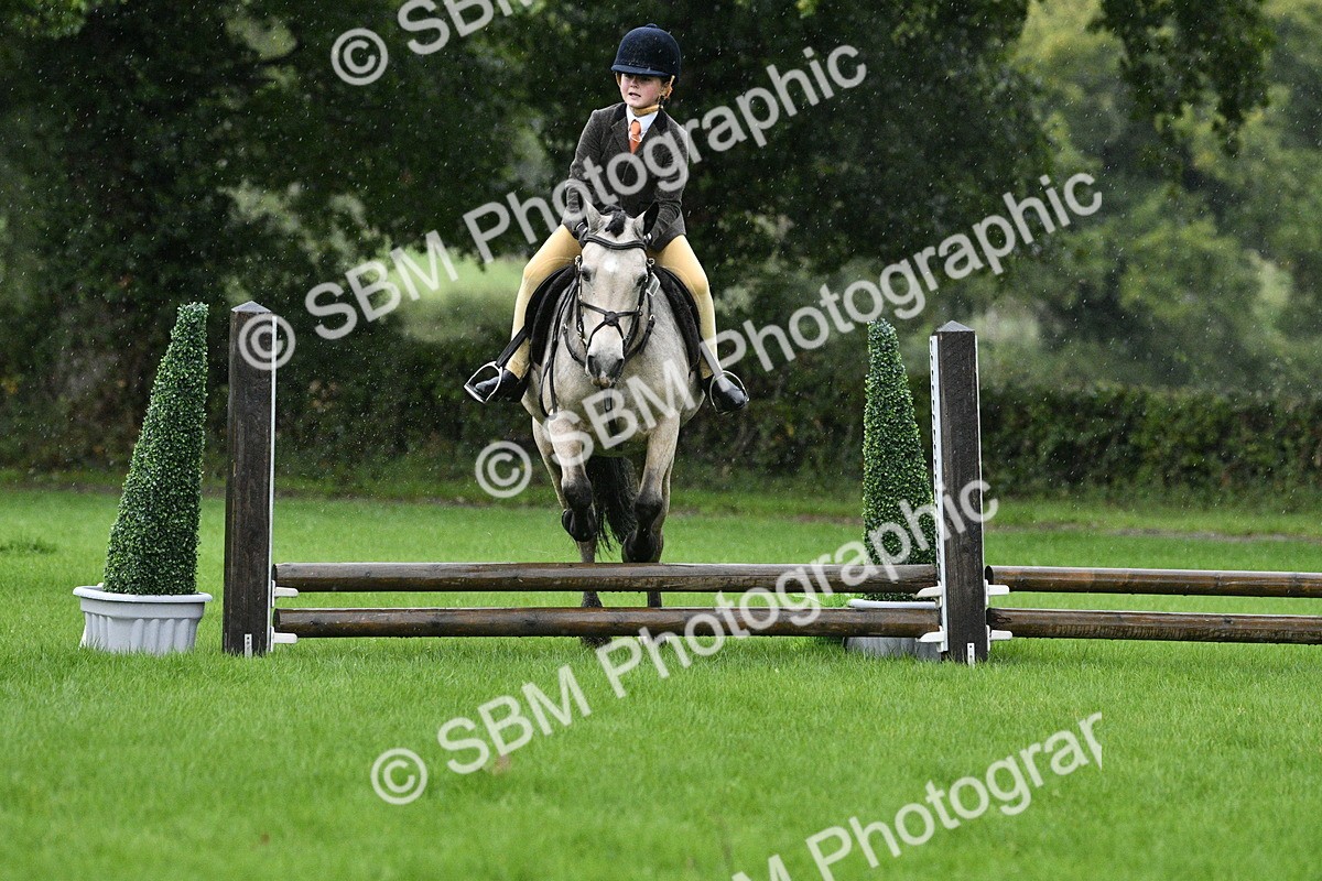 SBM_35511 - S30 - Nursery Stakes Working Hunter Pony