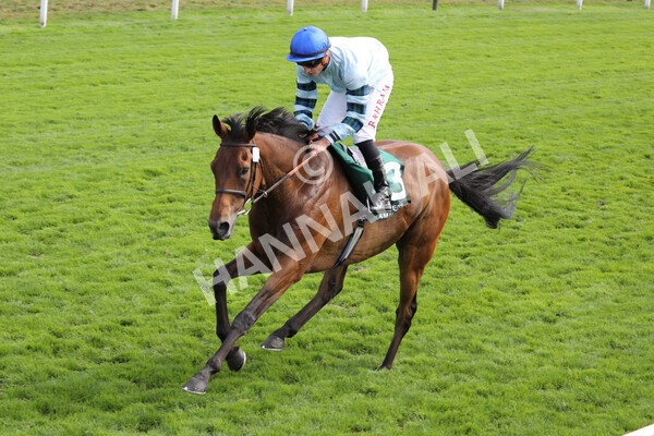 yr19082022r2-38 - Race 2 2.25pm Weatherbys Hamilton Lonsdale Cup (British Champions Series Race)