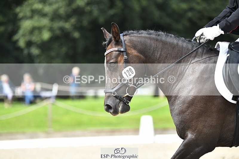 230812-121714-04080 - Cls 6 Novice Silver 12.10 to End