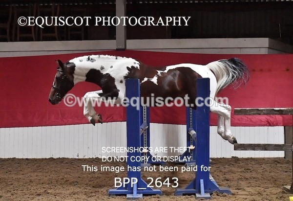 BPP_2643 - LOOSE JUMPING / SPSS