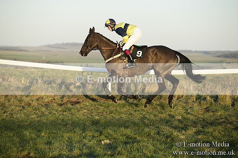 PtP 070118 -734 - Larkhill Racing Club Point to Point Larkhill 07/01/2018
