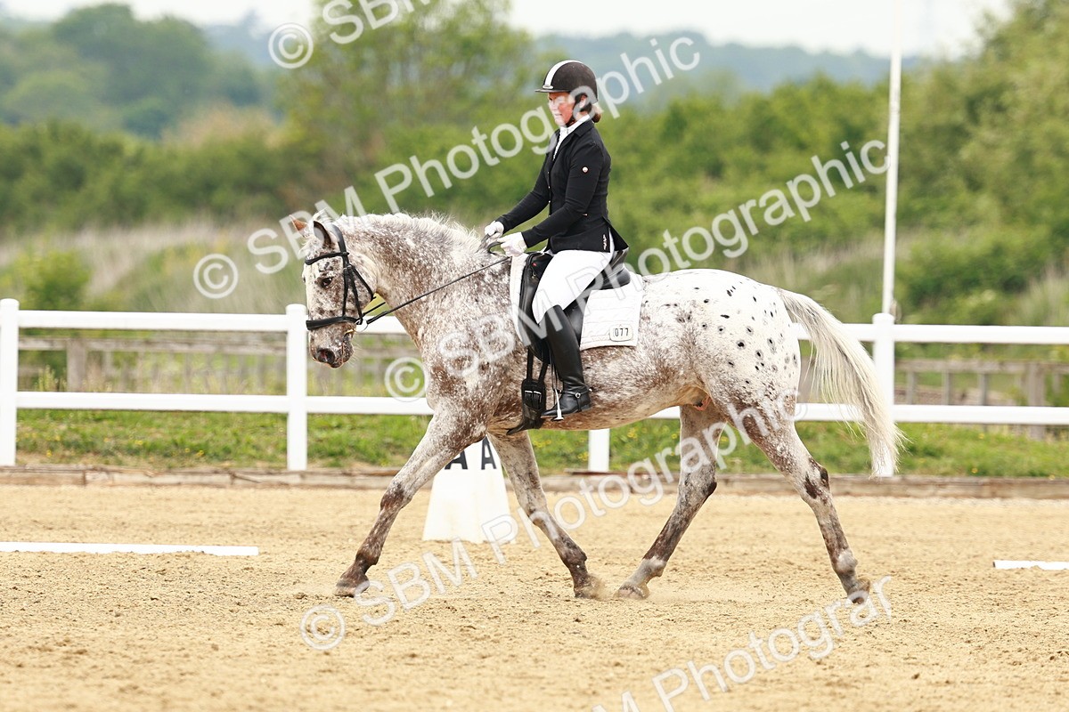 SBM_001260 - Class 7 - Novice 5