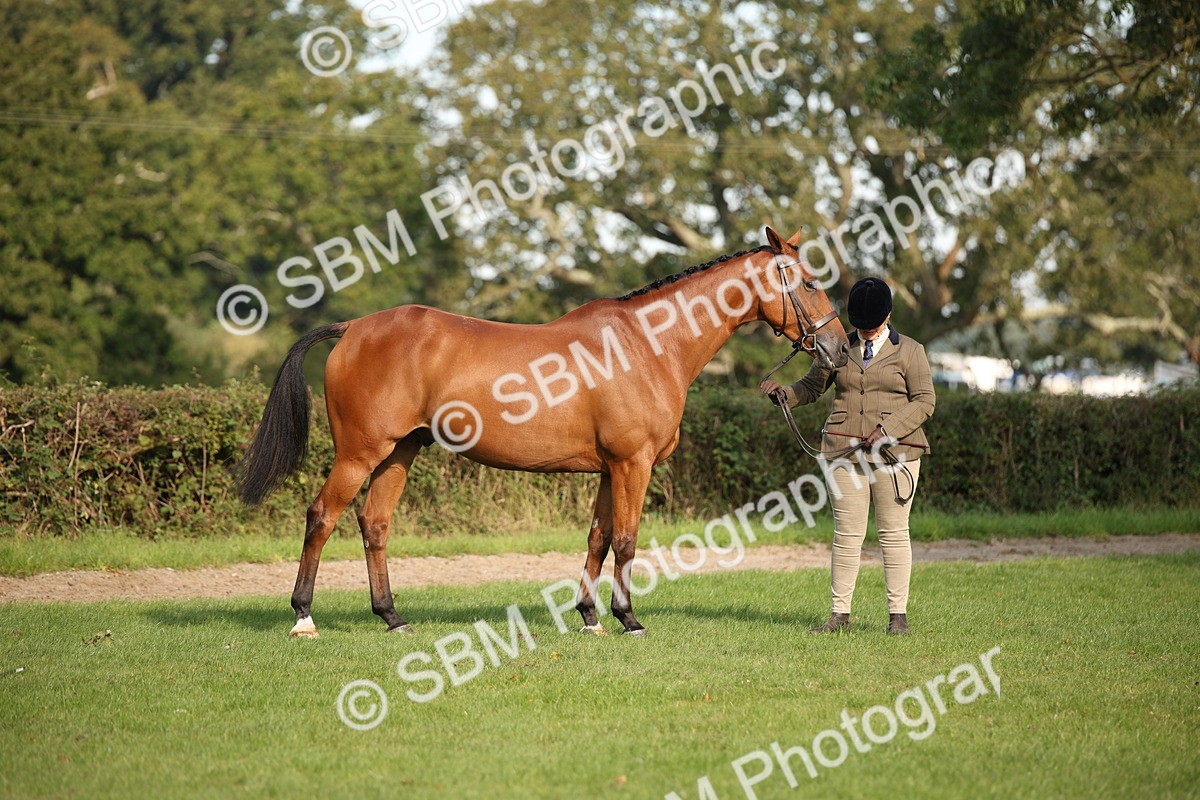 SBM_60076 - S53 - Hunter In Hand