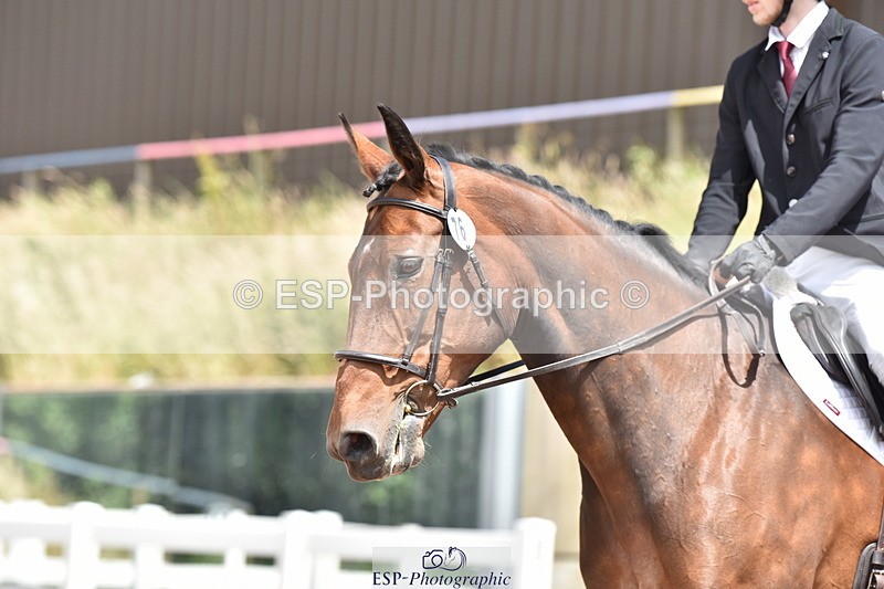 240706A-132232-02599 - Cls 4A Snr Novice 24