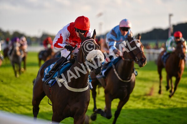 yr07102022r7-34 - Race 7 5.35pm IRE Incentive, It Pays To Buy Irish Stakes