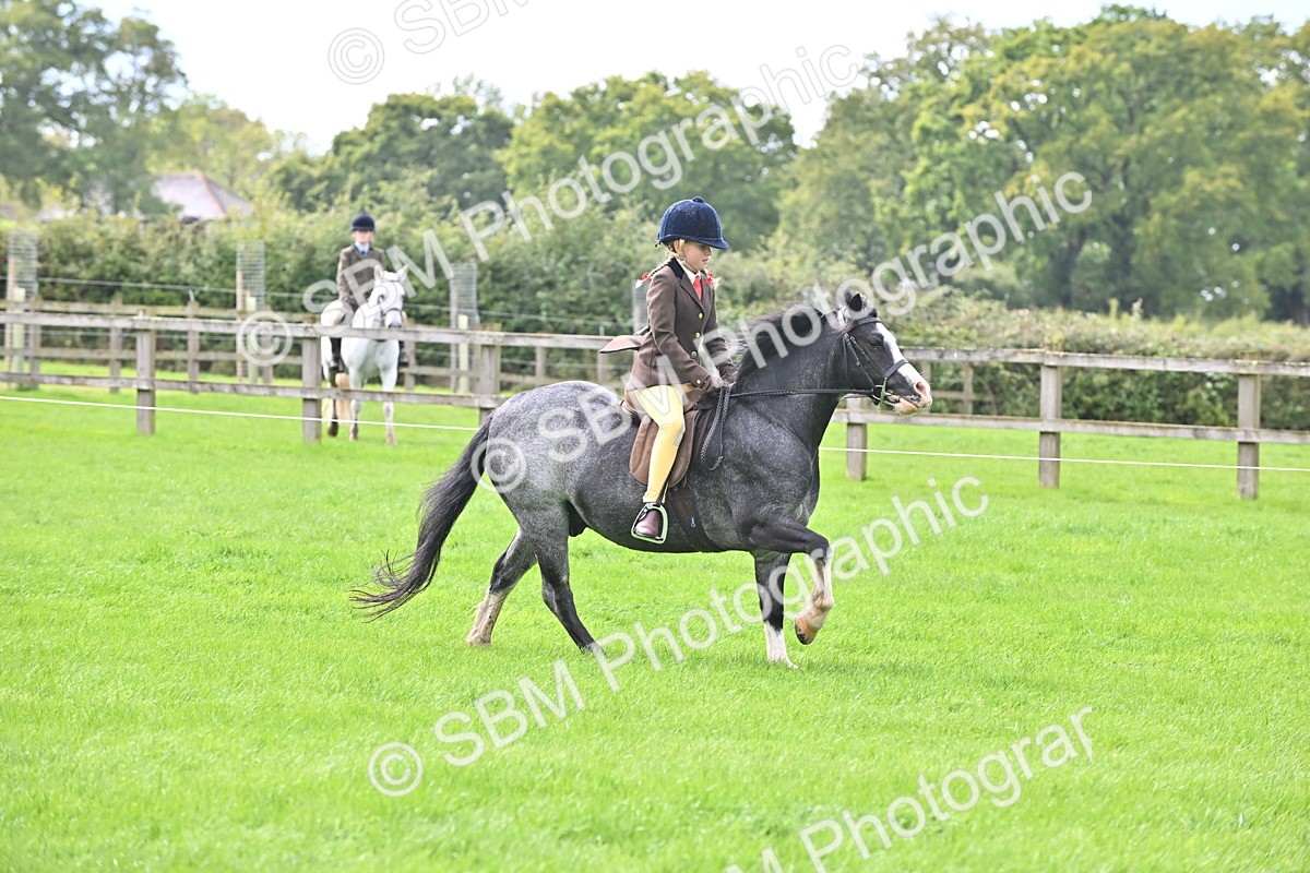 SBM_44481 - S13 - Pony Club Pony