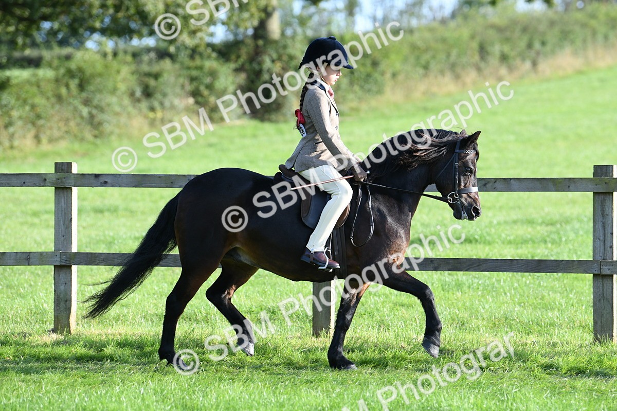 SBM_54024 - S23 - 1st Ridden Mountain & Moorland Pony