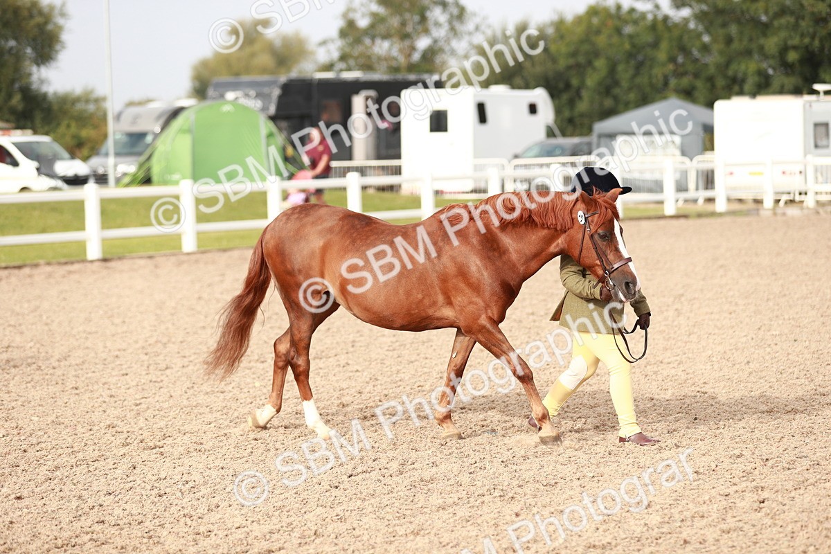 SBM_09846 - Class 203 Young Handler, 10 years and under