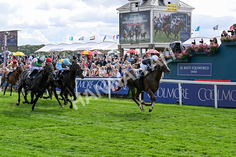 210826-Race 4-Bacio-6213 - Race 4 15.35pm Coolmore City Of Troy Nunthorpe Stakes