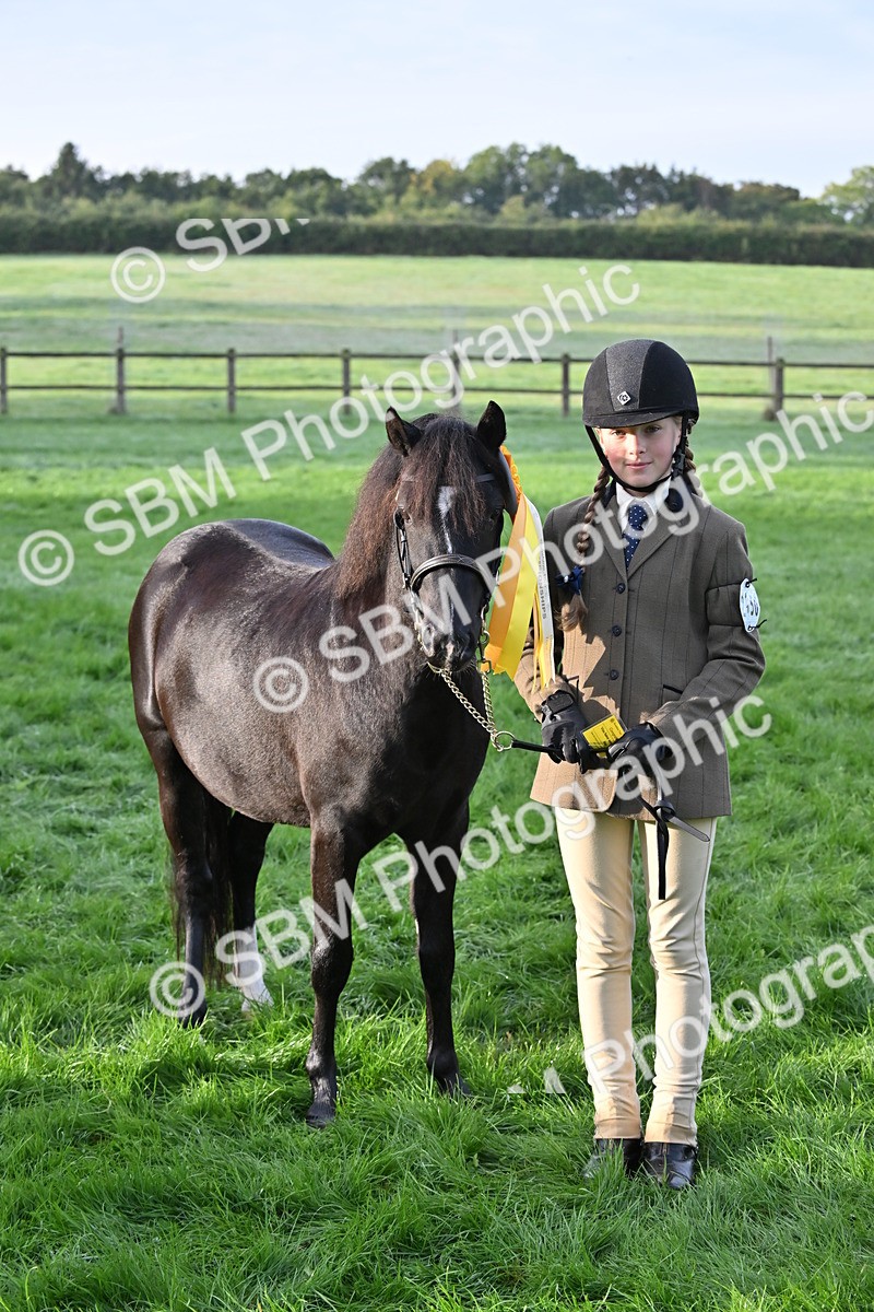 SBM_54637 - S44 - Youngstock In Hand